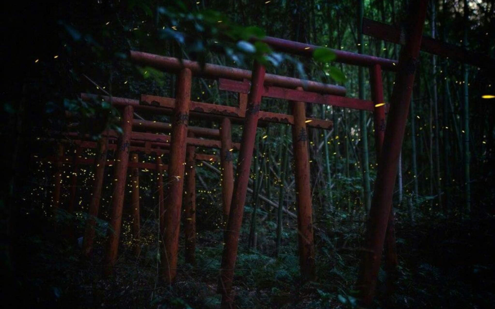 唯美意境风景图片图片