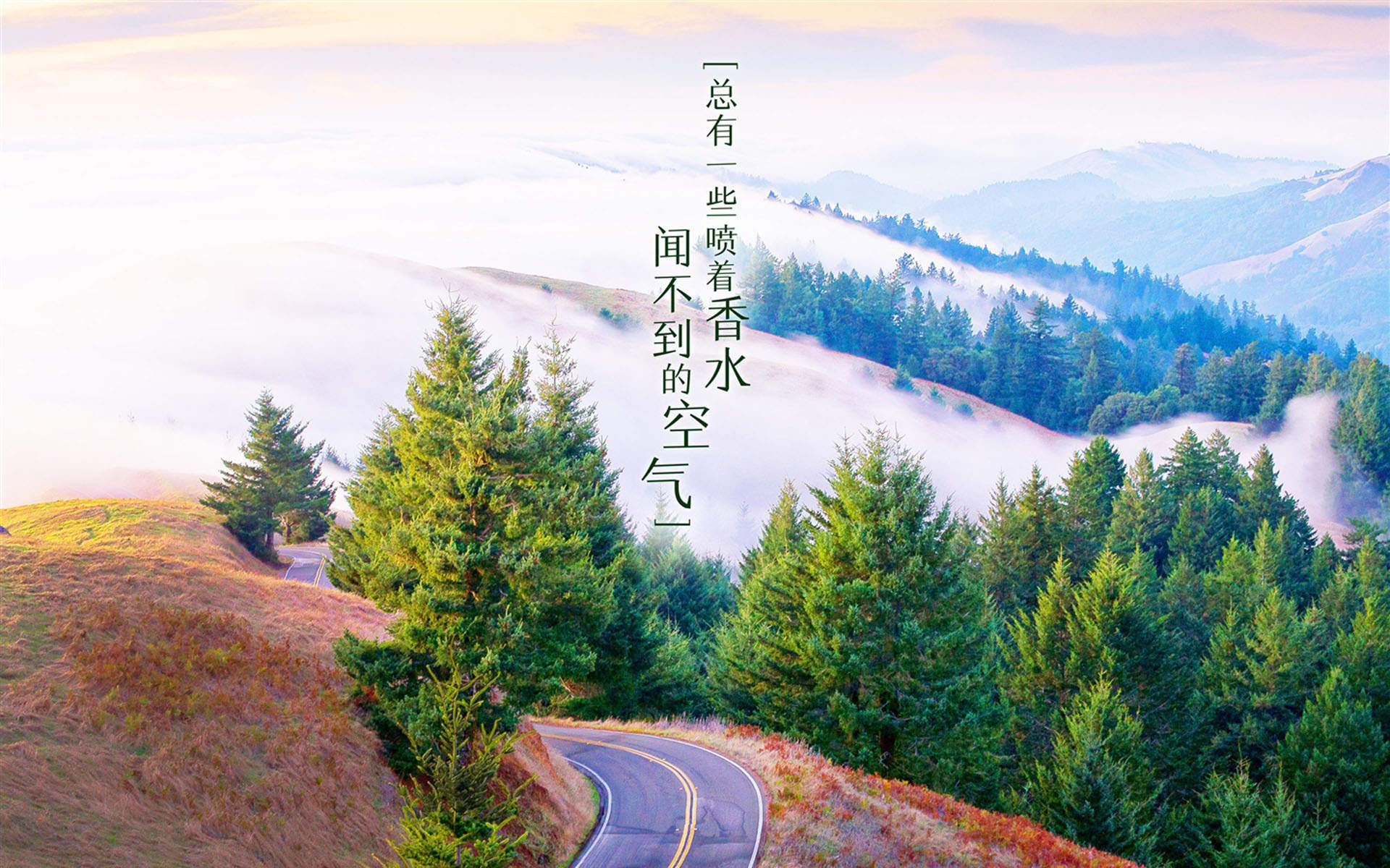 减肥励志文字高清手机壁纸图片