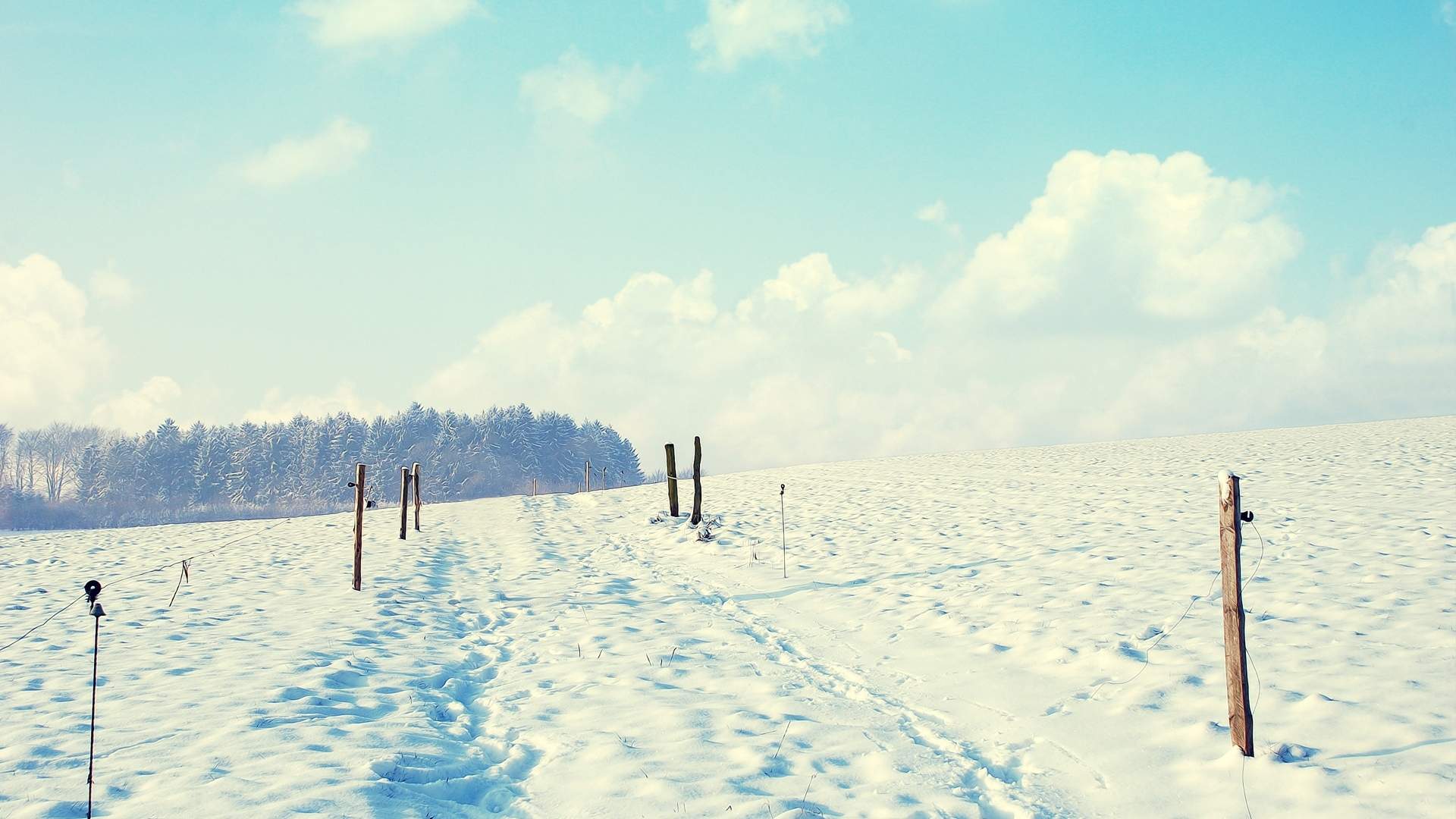 郑秀妍日本函馆冬日雪景唯美写真图片图片