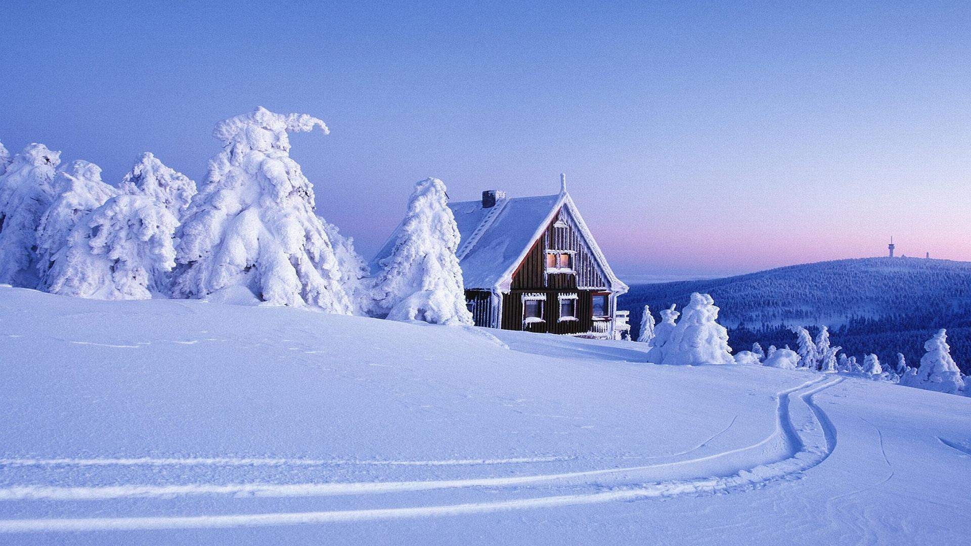 郑秀妍日本函馆冬日雪景唯美写真图片图片