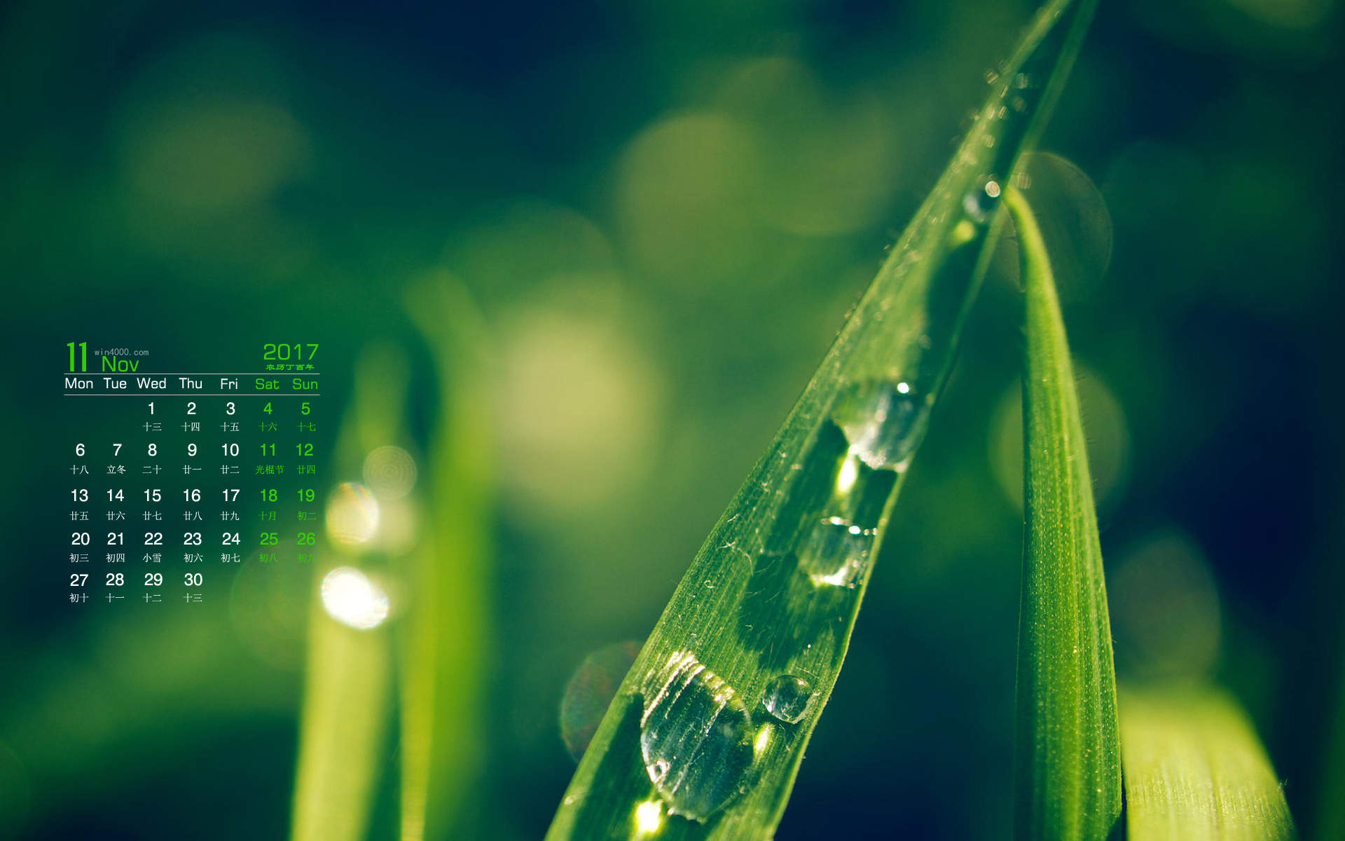 可爱的小雏菊小清新桌面壁纸图片
