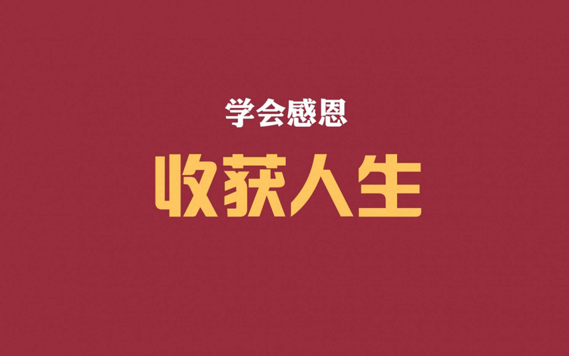 精选励志文字语句创意图片手机壁纸图片