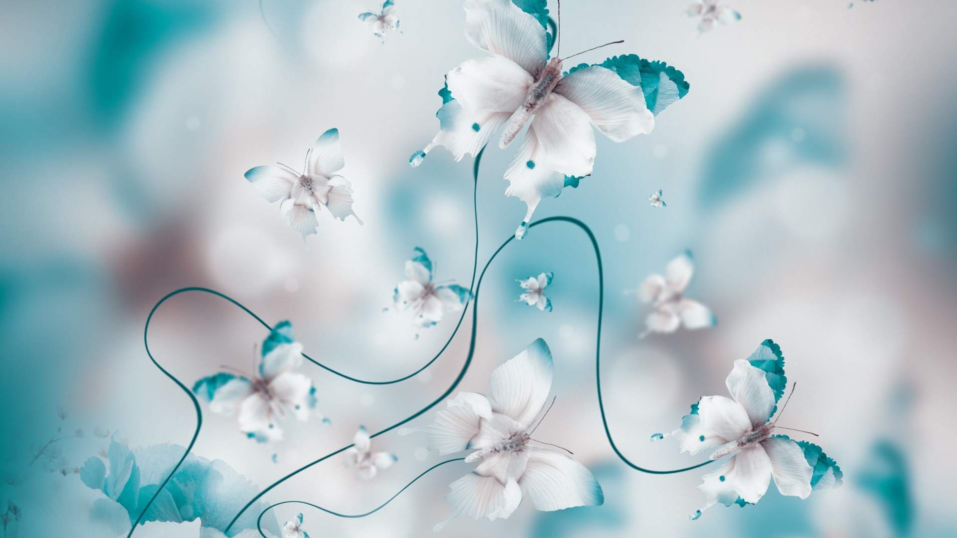 唯美抽象花卉创意高清桌面壁纸图片
