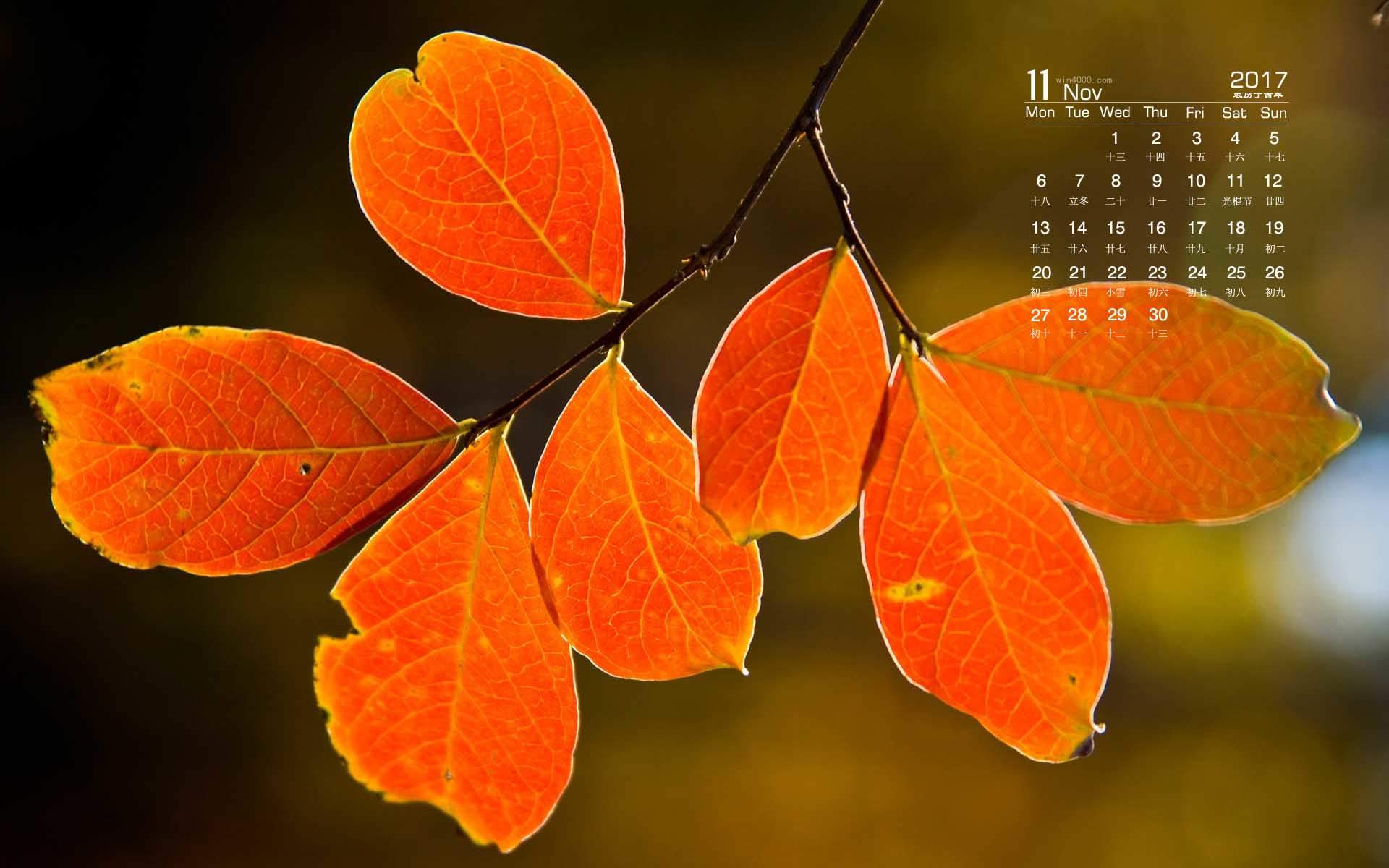 2017年11月秋天树叶唯美风景日历图片壁纸图片