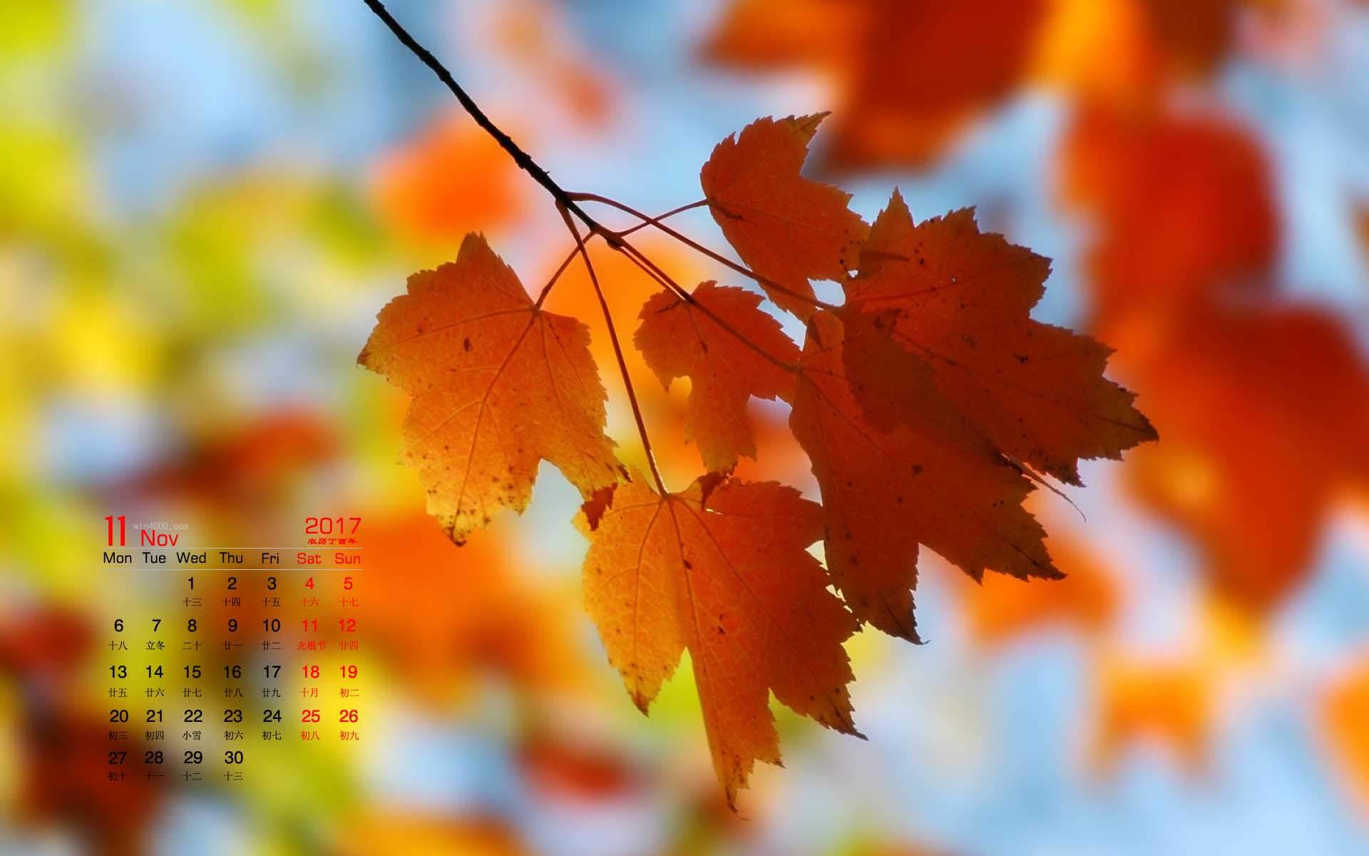 2017年11月秋天树叶唯美风景日历图片壁纸图片