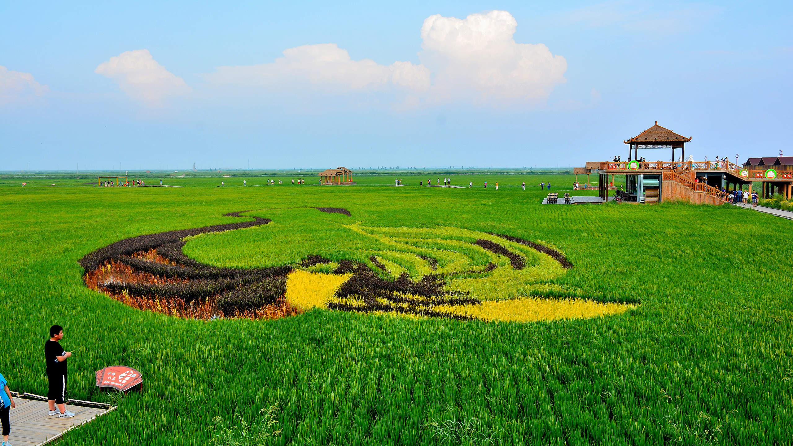 海滩风景图片