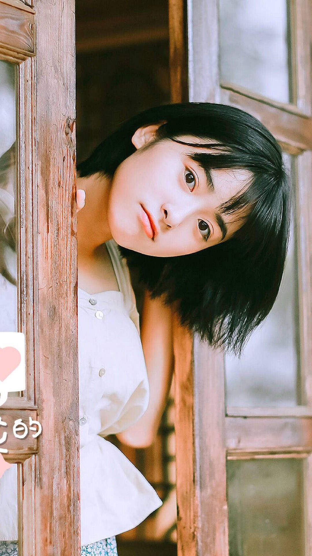 美女沈月图片
