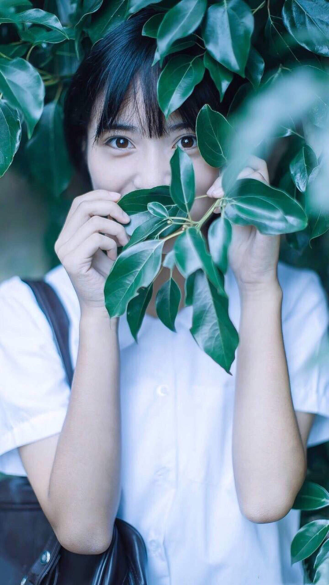 美女沈月图片