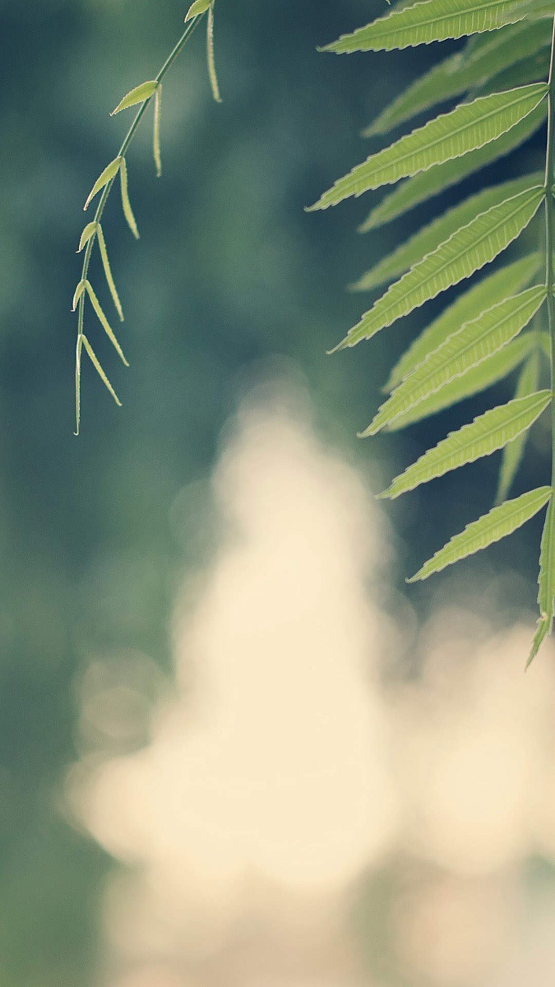 唯美意境风景图片图片
