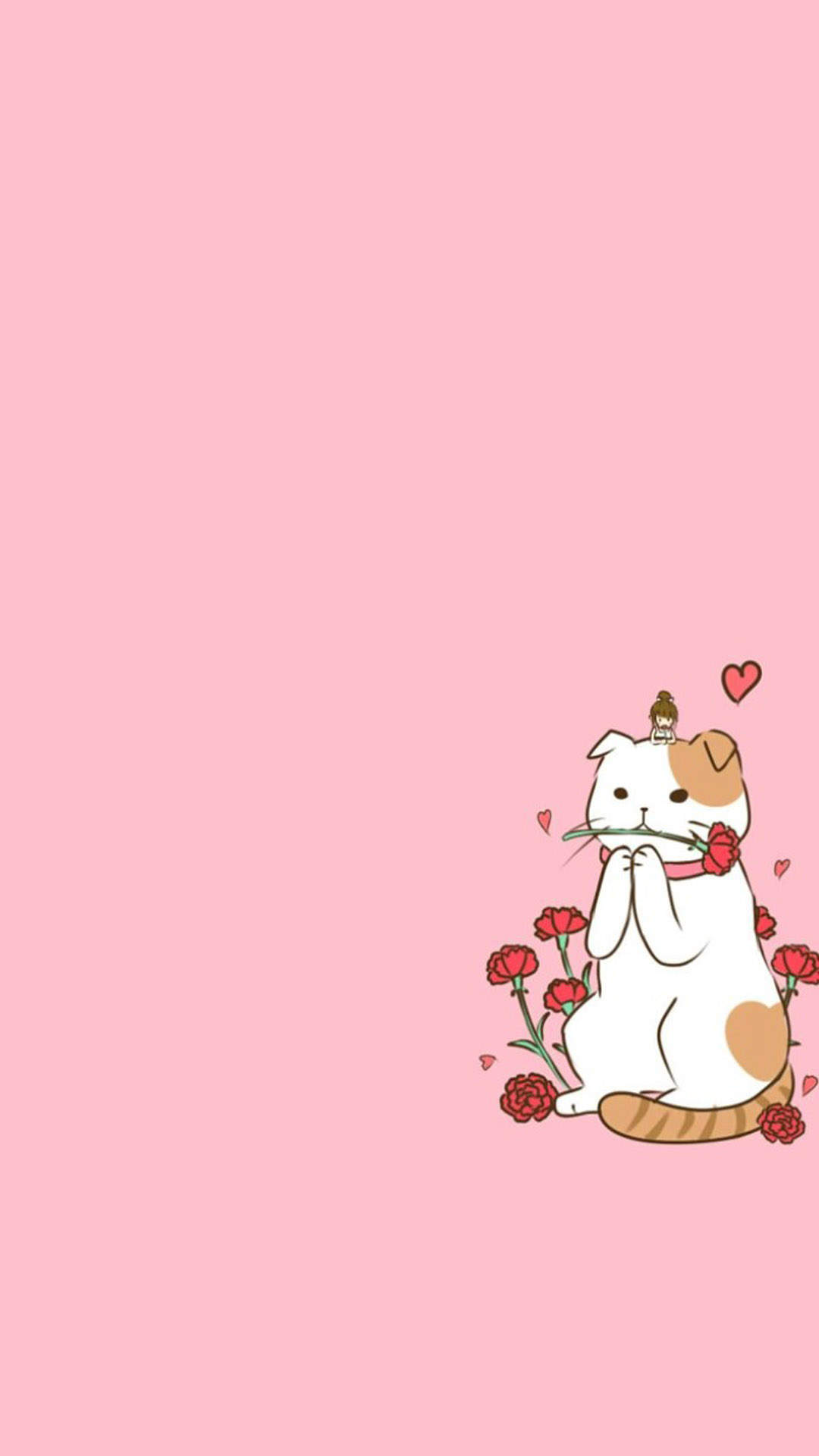 超可爱小猫图片高清手机壁纸图片
