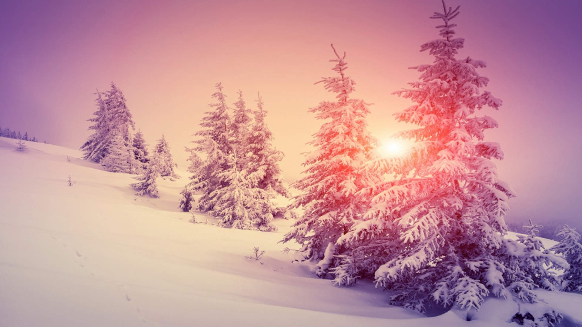 郑秀妍日本函馆冬日雪景唯美写真图片图片