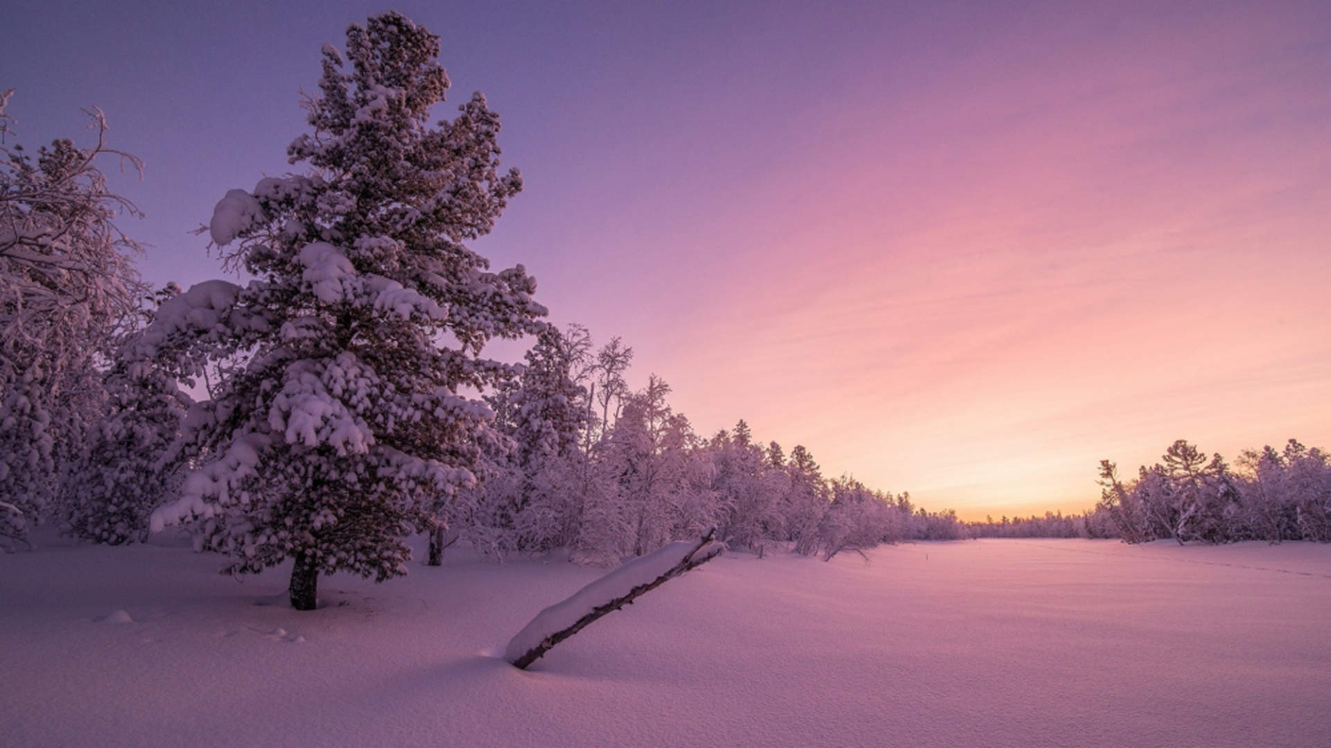 郑秀妍日本函馆冬日雪景唯美写真图片图片