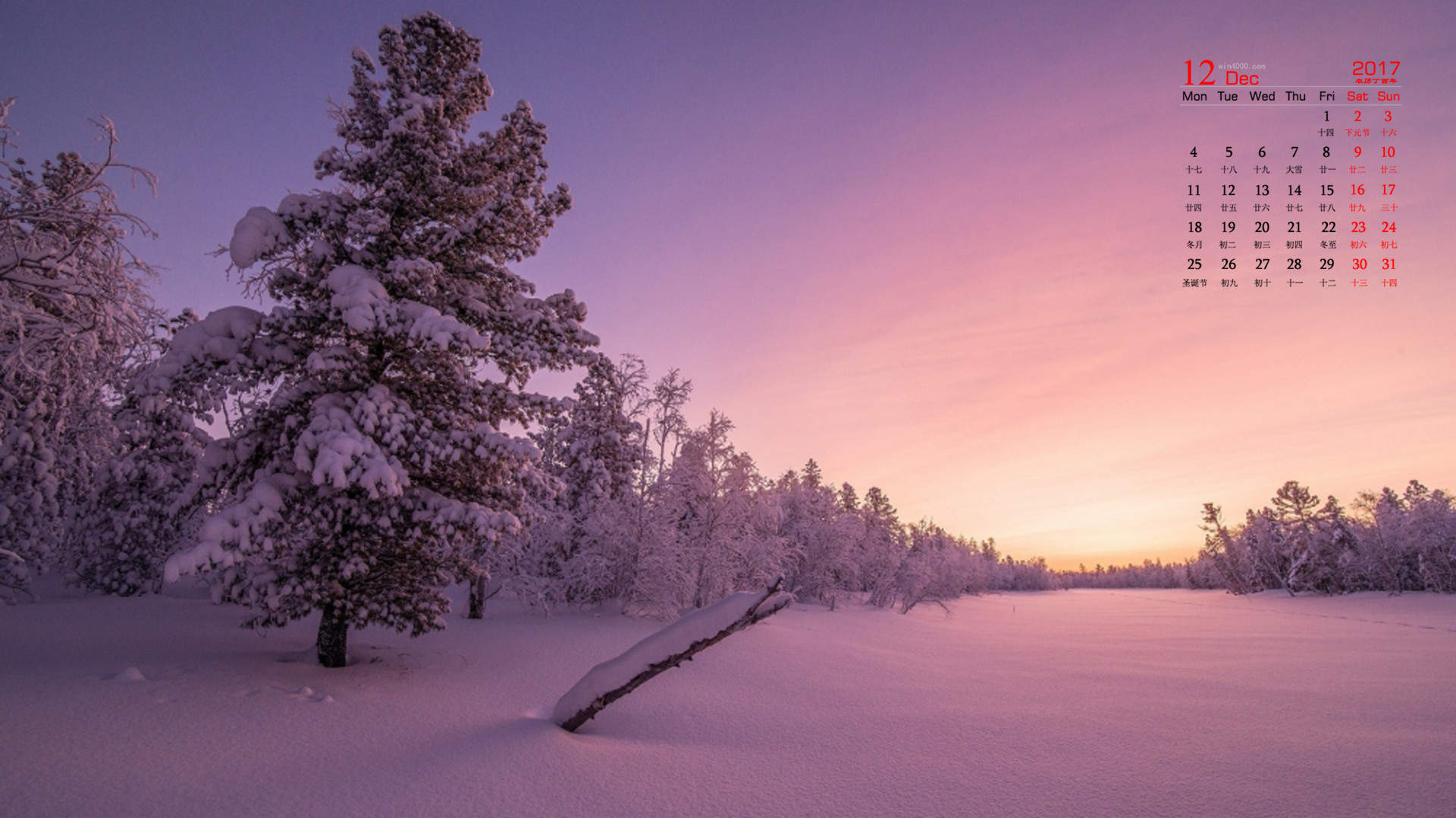 郑秀妍日本函馆冬日雪景唯美写真图片图片