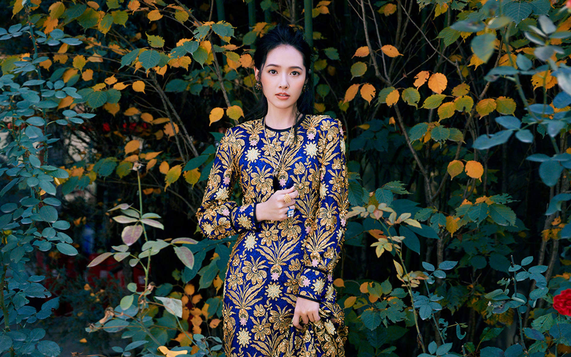 郭碧婷图片