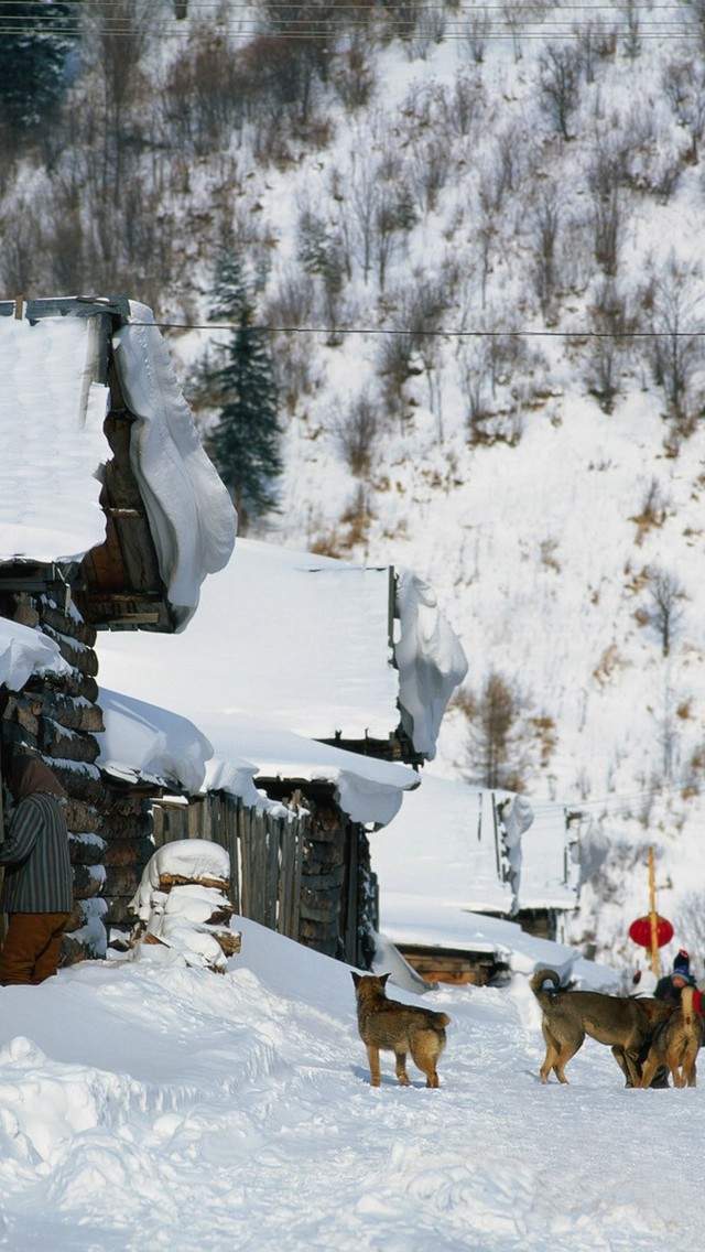 郑秀妍日本函馆冬日雪景唯美写真图片图片