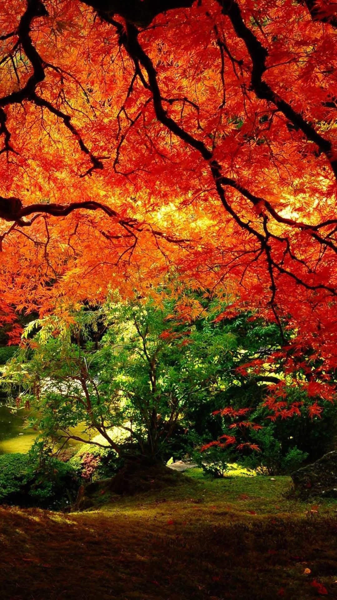 古希腊美丽景色（下）图片