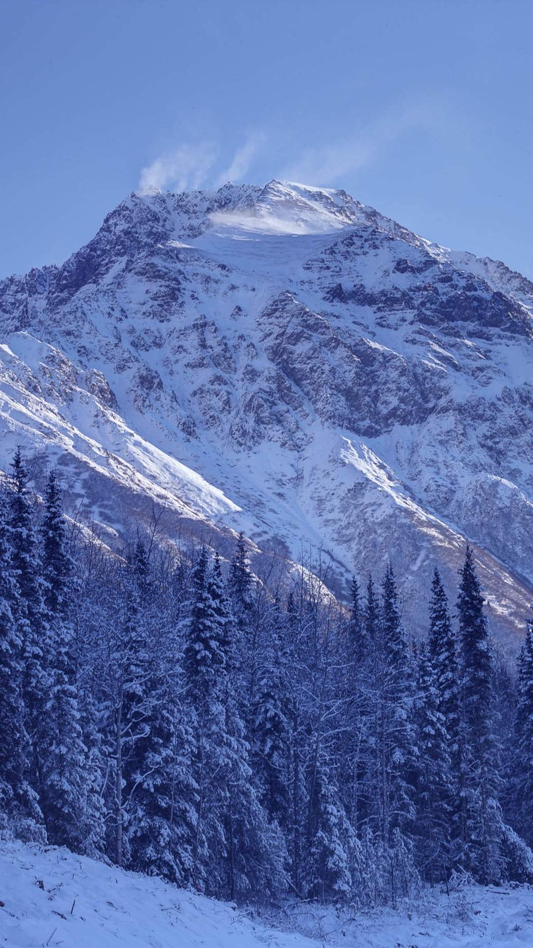 郑秀妍日本函馆冬日雪景唯美写真图片图片