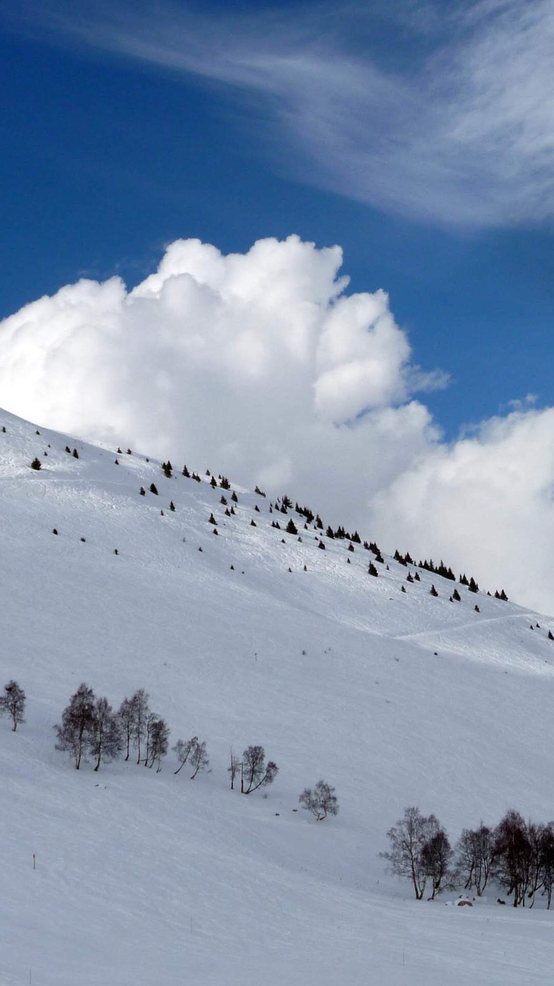 郑秀妍日本函馆冬日雪景唯美写真图片图片