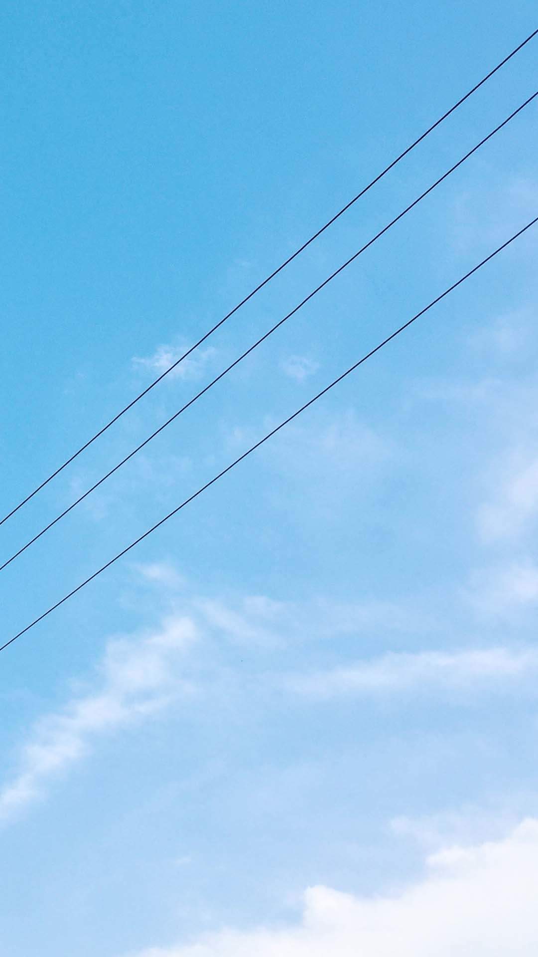 小清新绿色护眼高清手机壁纸图片
