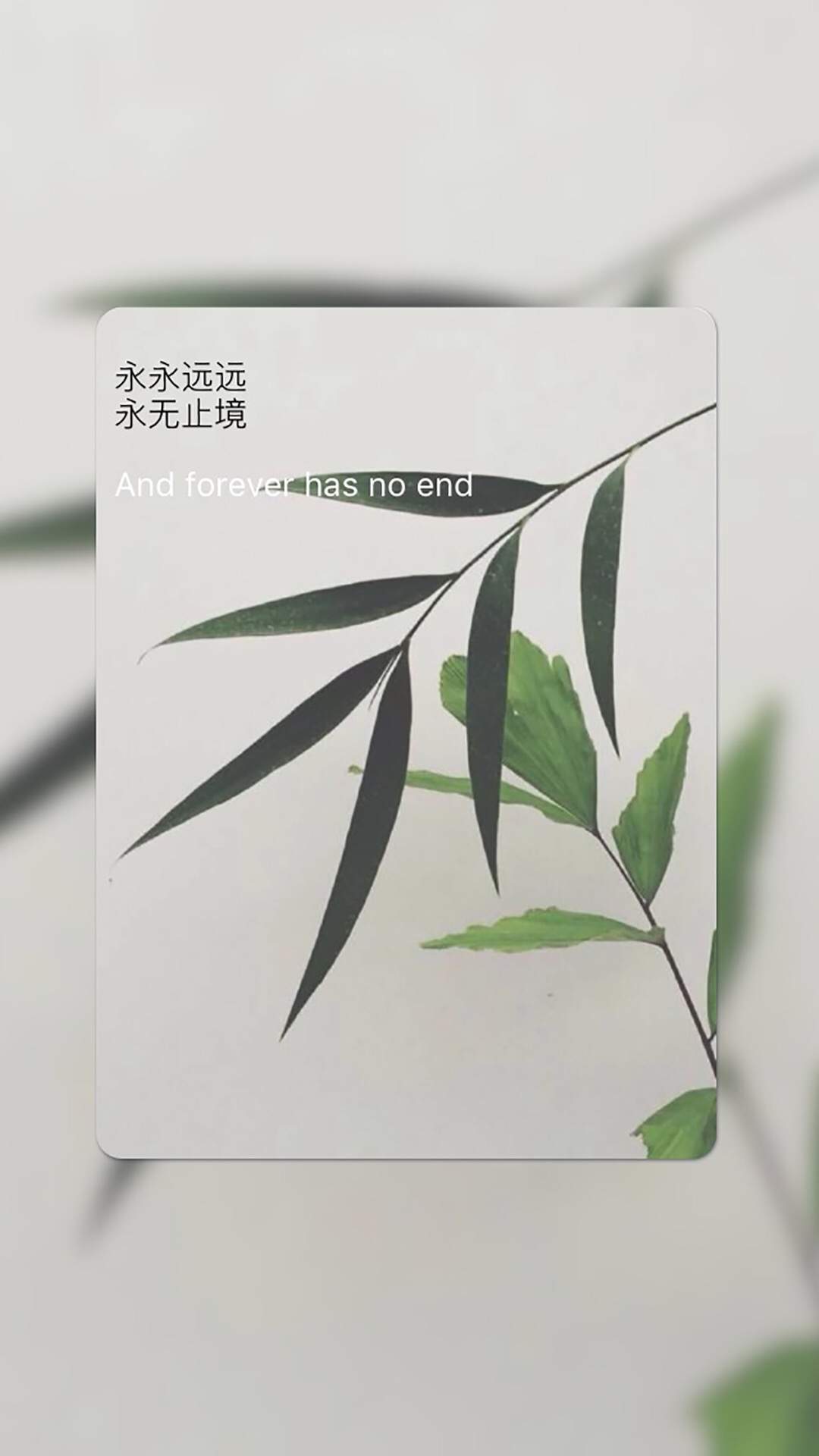 紫色的唯美风景非主流图片手机壁纸图片