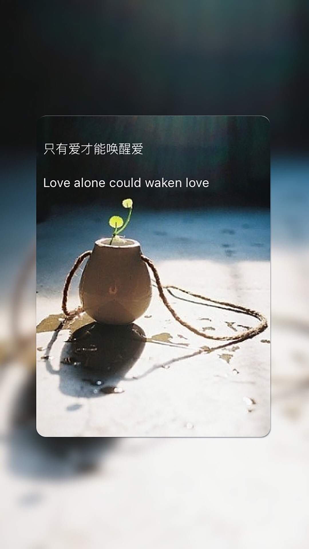 精选伤感非主流唯美清新手机壁纸下载图片