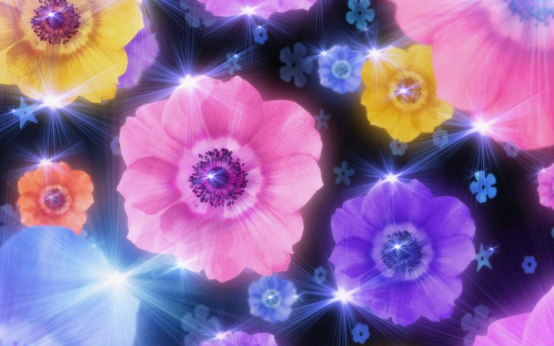 唯美抽象花卉创意高清桌面壁纸图片
