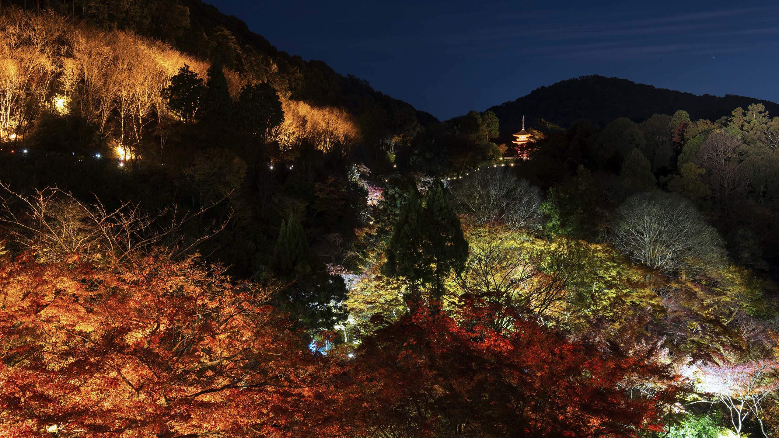 陈瑶花园街拍唯美写真图片