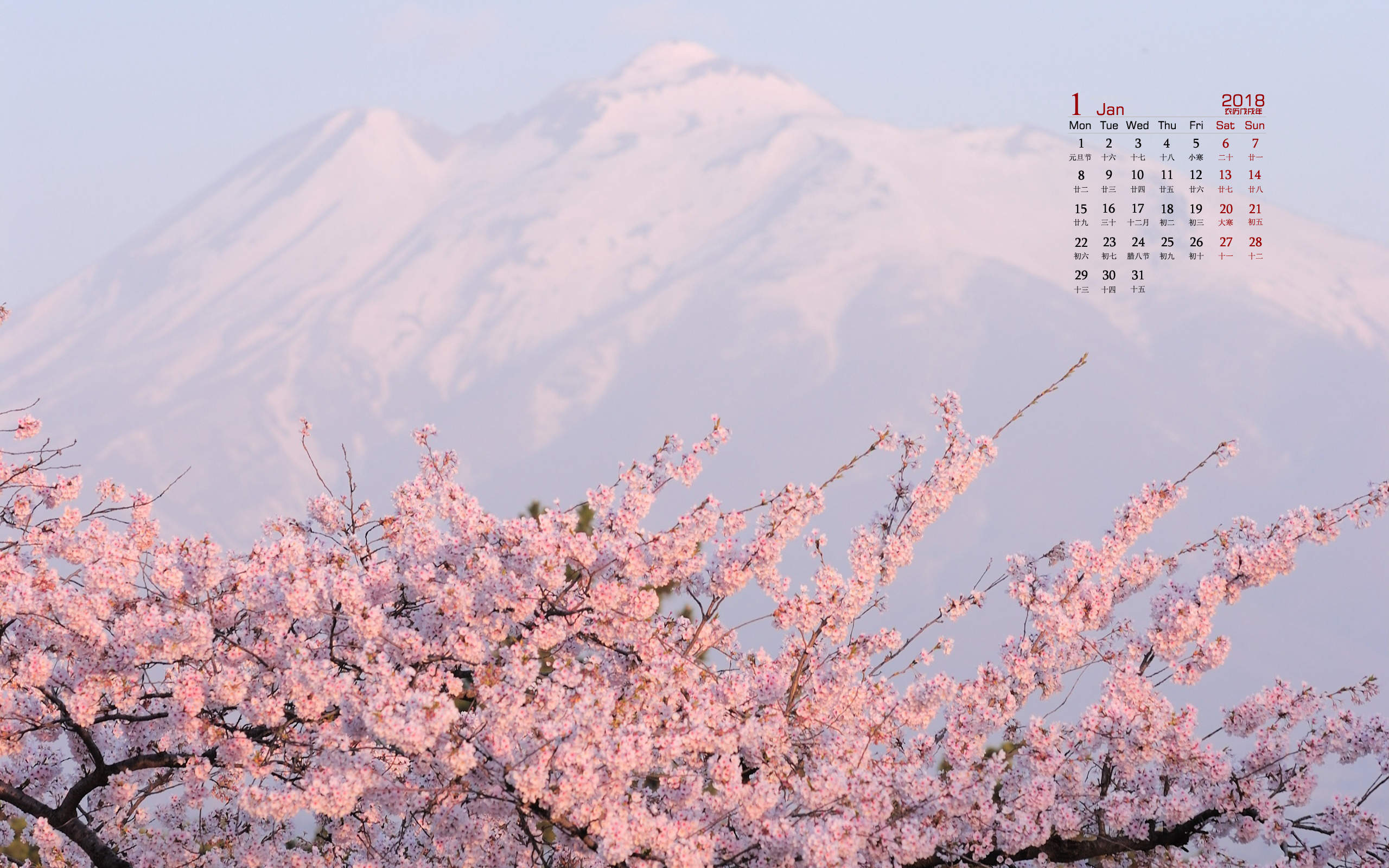 2017年6月唯美好看的樱花高清电脑桌面日历壁纸图片