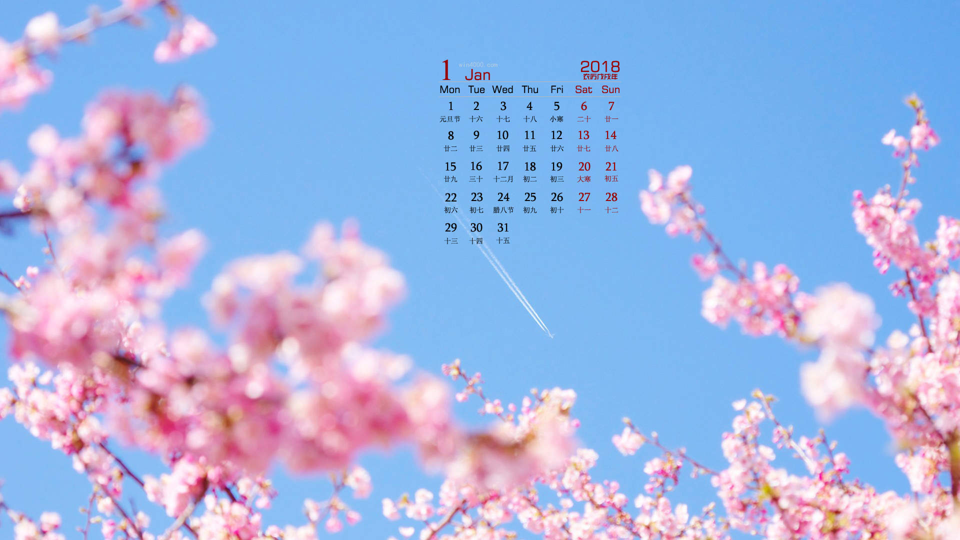 2017年6月唯美好看的樱花高清电脑桌面日历壁纸图片