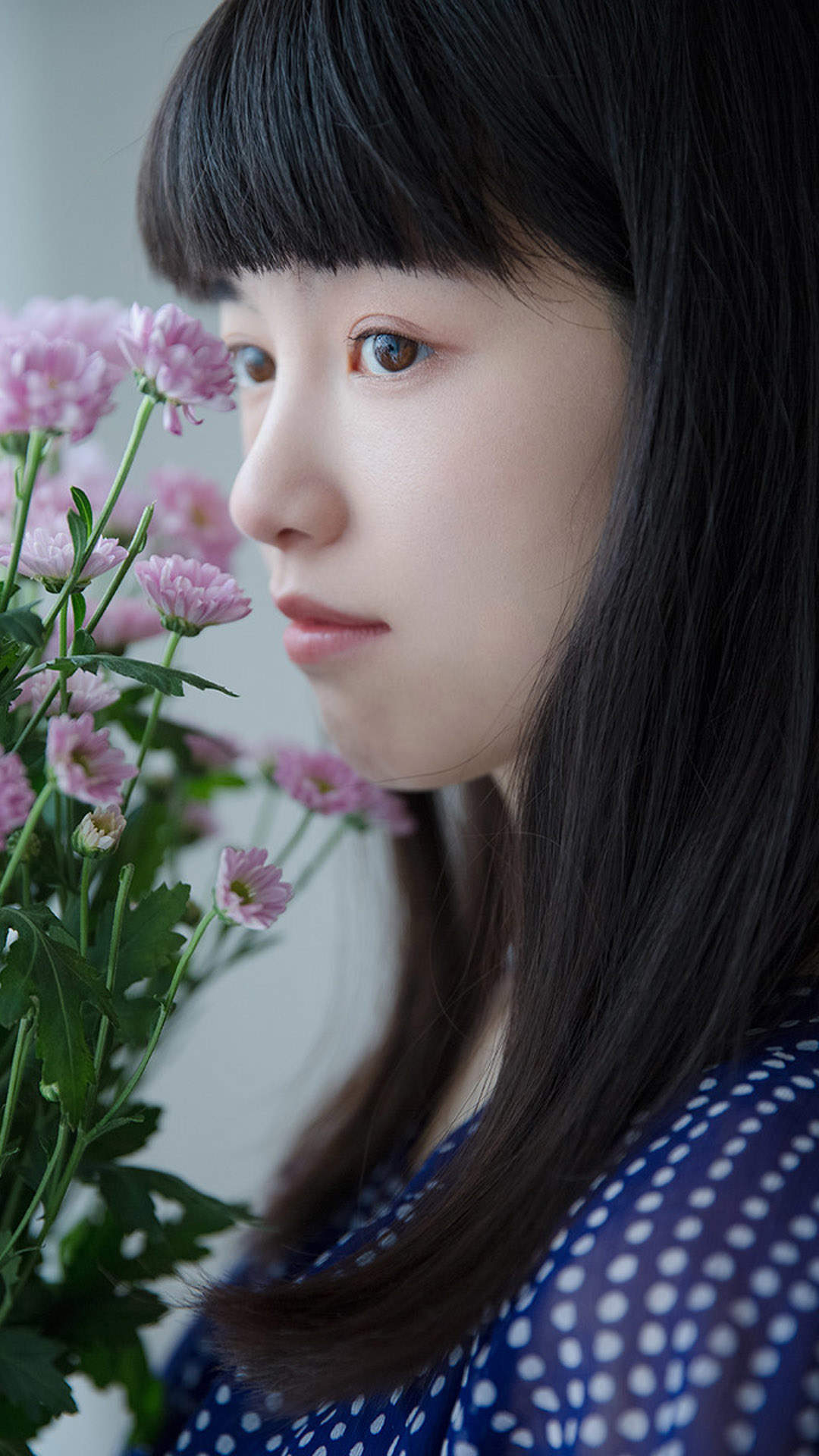 女明星海清图片