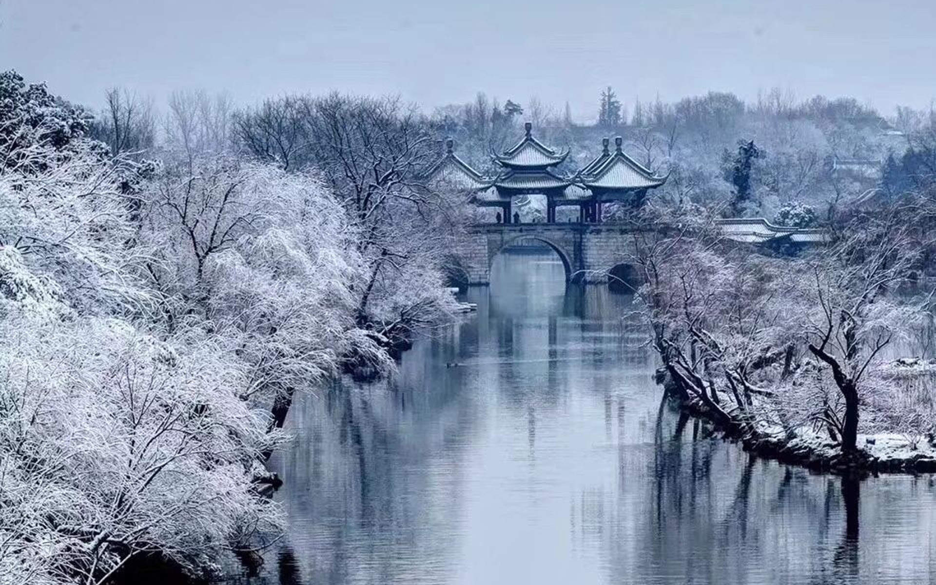 郑秀妍日本函馆冬日雪景唯美写真图片图片