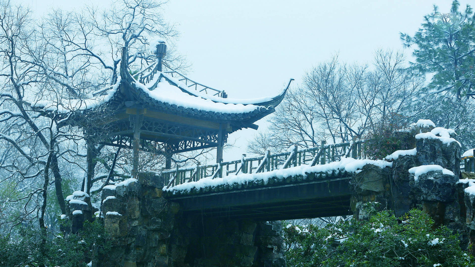 郑秀妍日本函馆冬日雪景唯美写真图片图片