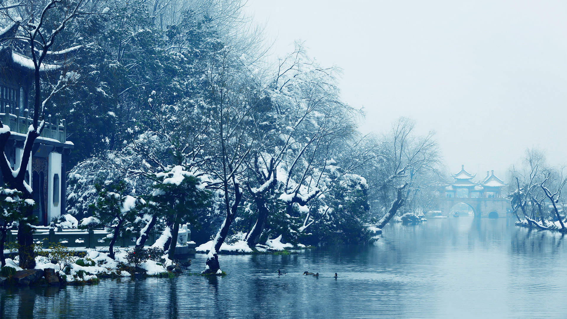 郑秀妍日本函馆冬日雪景唯美写真图片图片