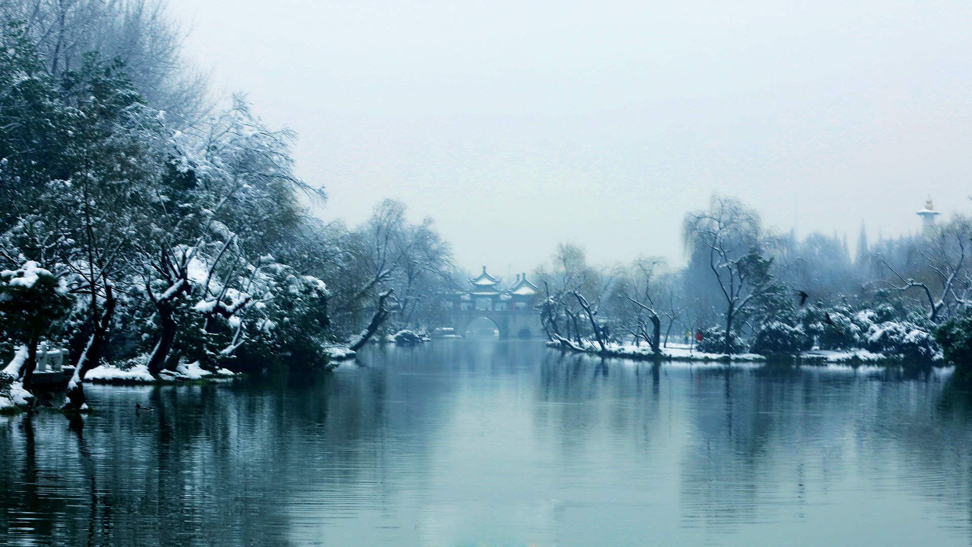 郑秀妍日本函馆冬日雪景唯美写真图片图片
