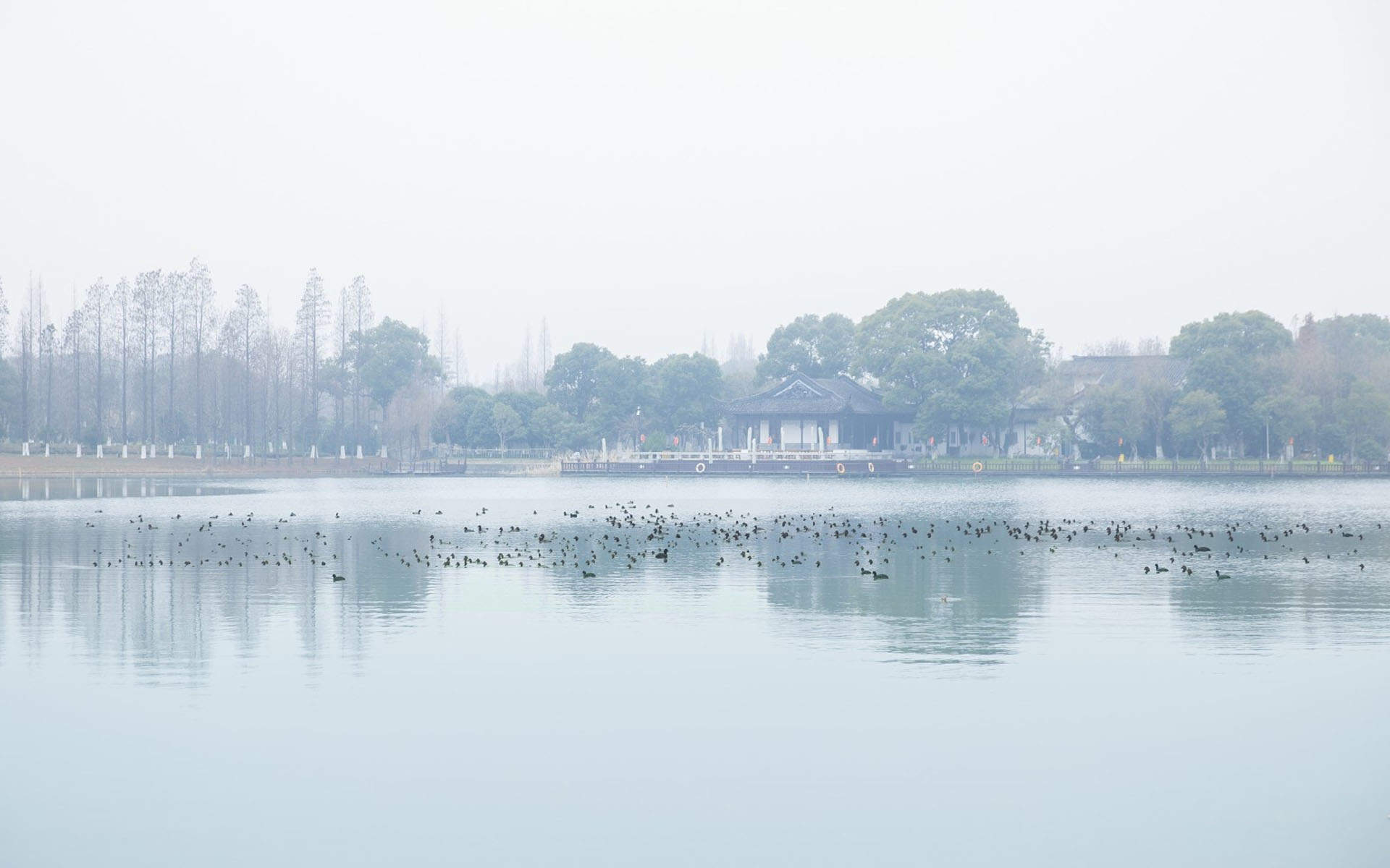 平静的湖面图片