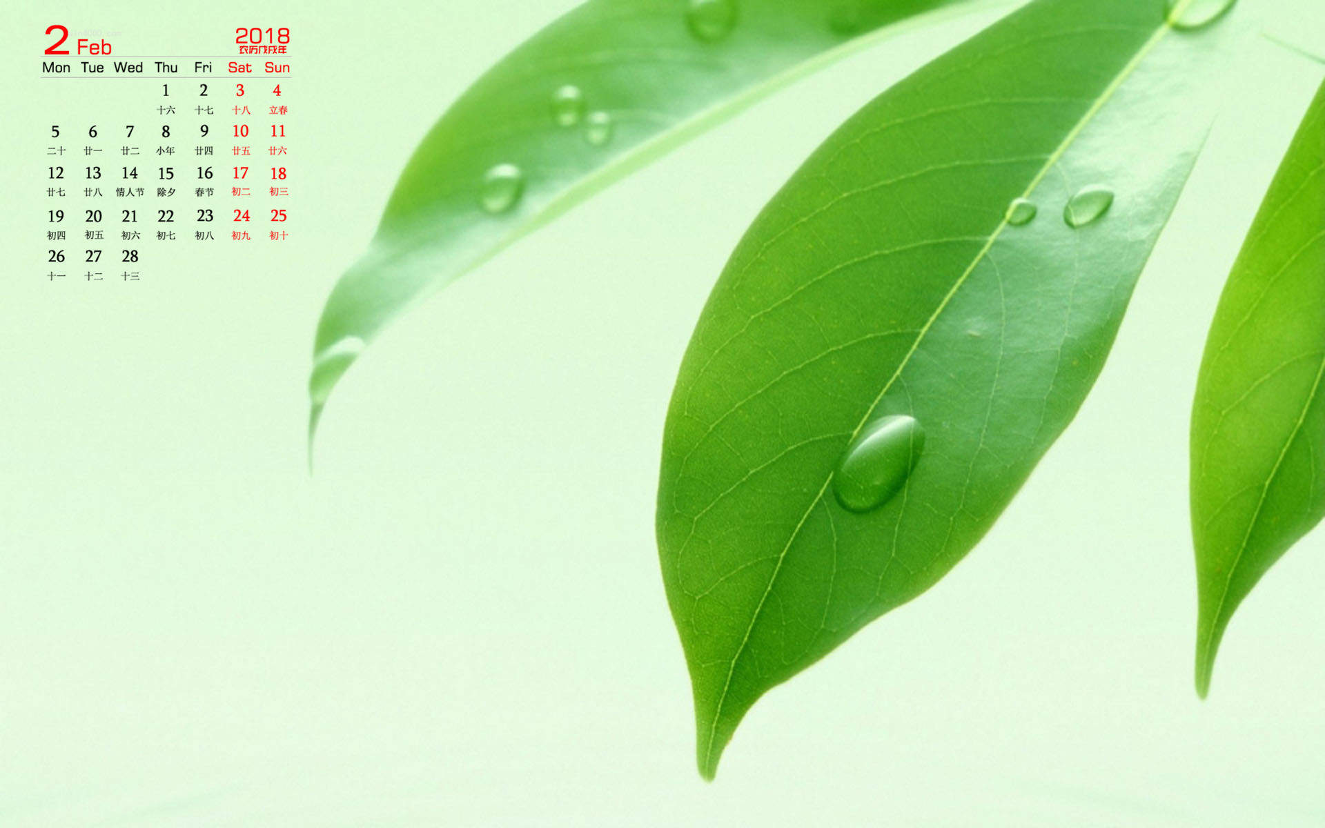 2014年9月日历壁纸微距树叶唯美摄影图片合集第一辑图片