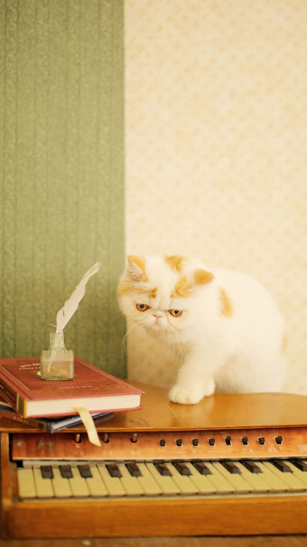 90后性感小猫咪写真图片