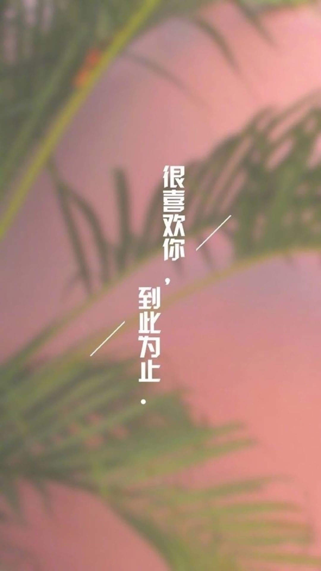 黑色背景文字语录图片手机壁纸图片
