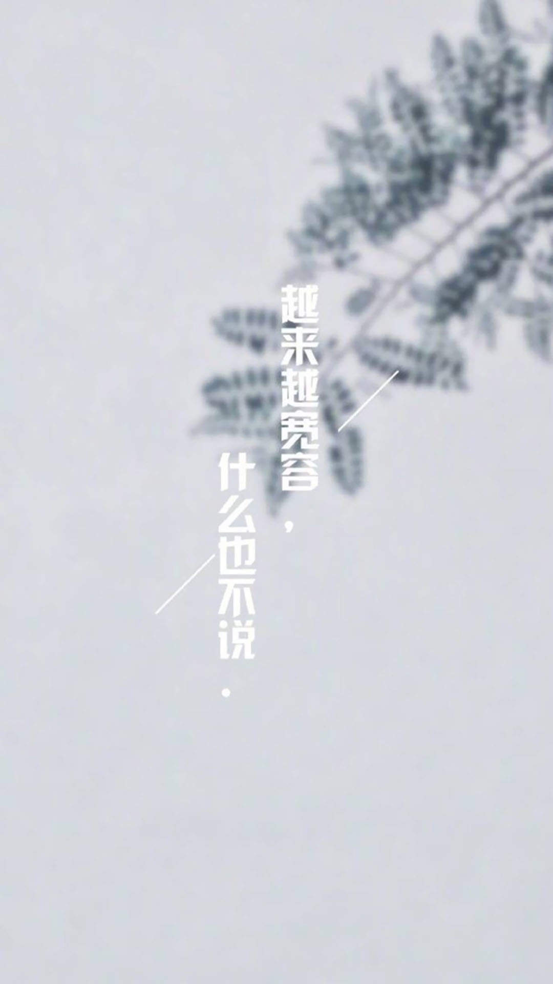 毕业季伤感文字创意图片iPhone手机壁纸下载图片