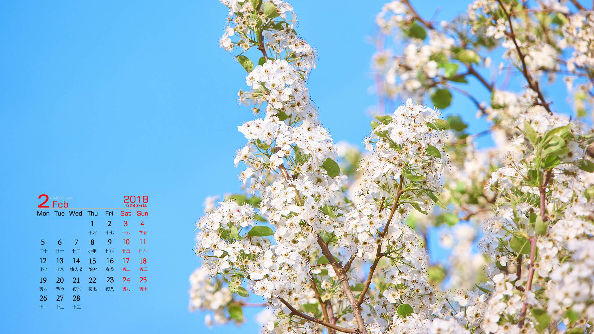 2018年4月唯美樱花摄影图片日历壁纸图片