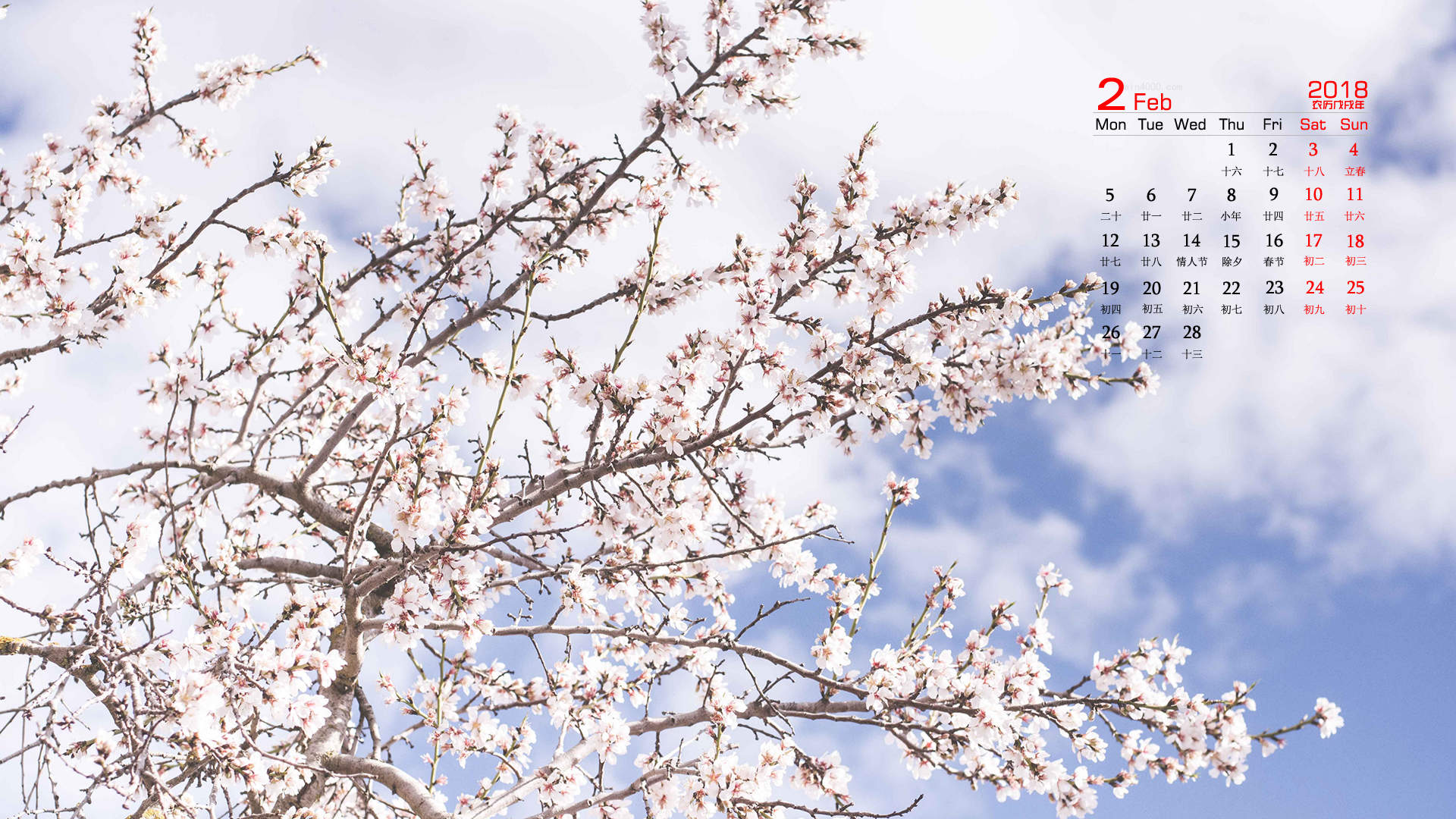 2018年4月唯美樱花摄影图片日历壁纸图片