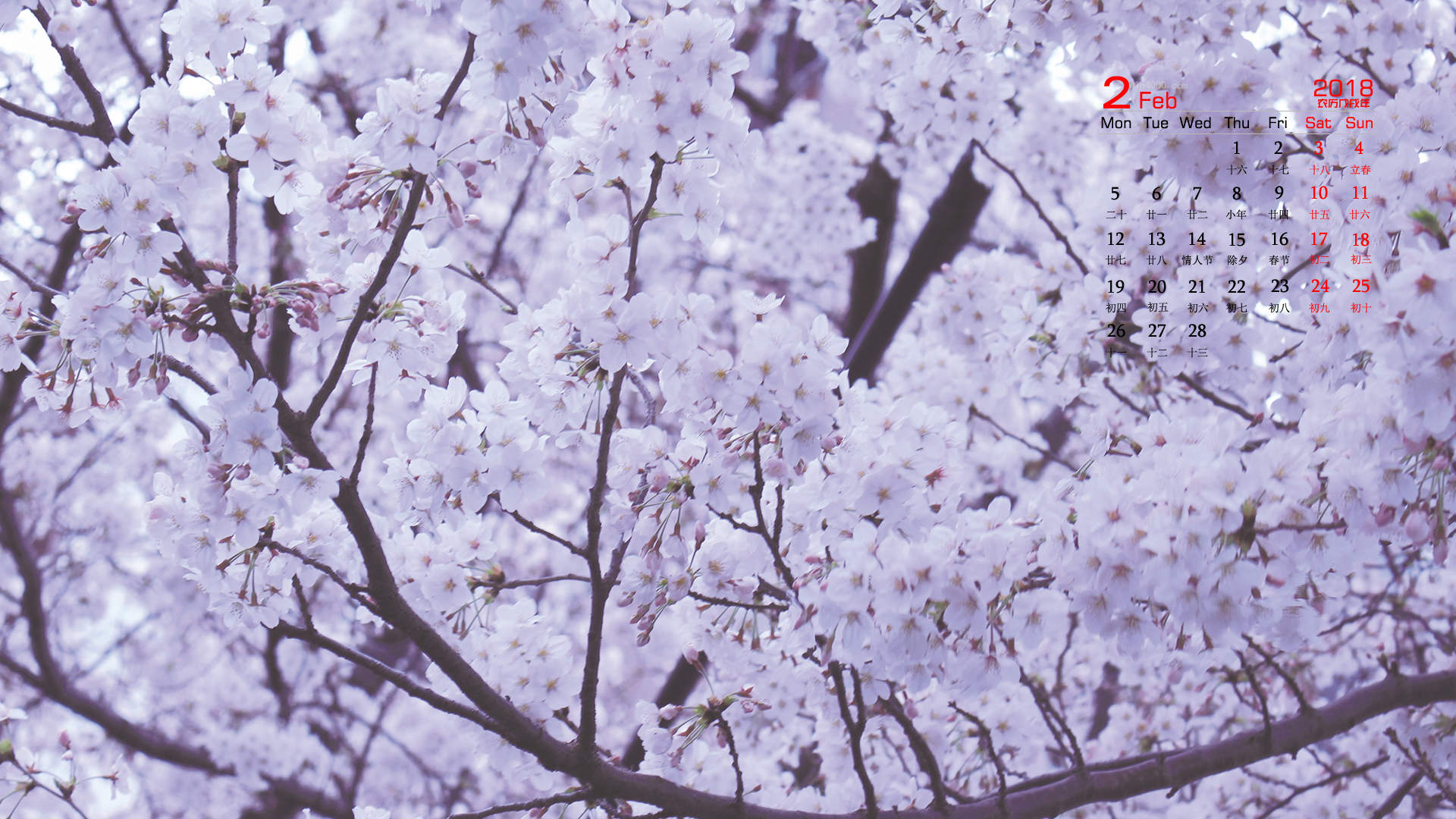 2018年2月樱花唯美日历图片桌面壁纸图片