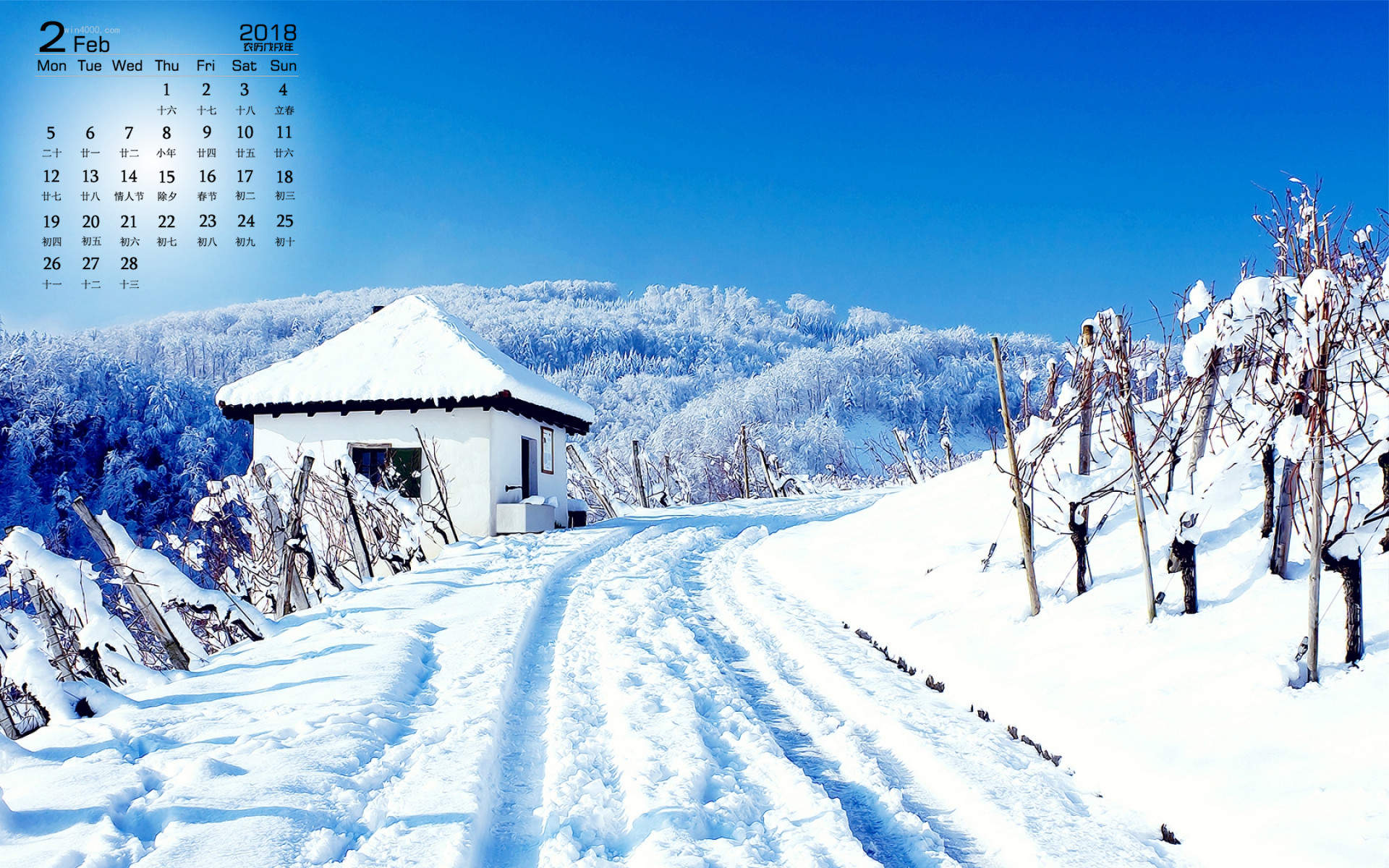 郑秀妍日本函馆冬日雪景唯美写真图片图片