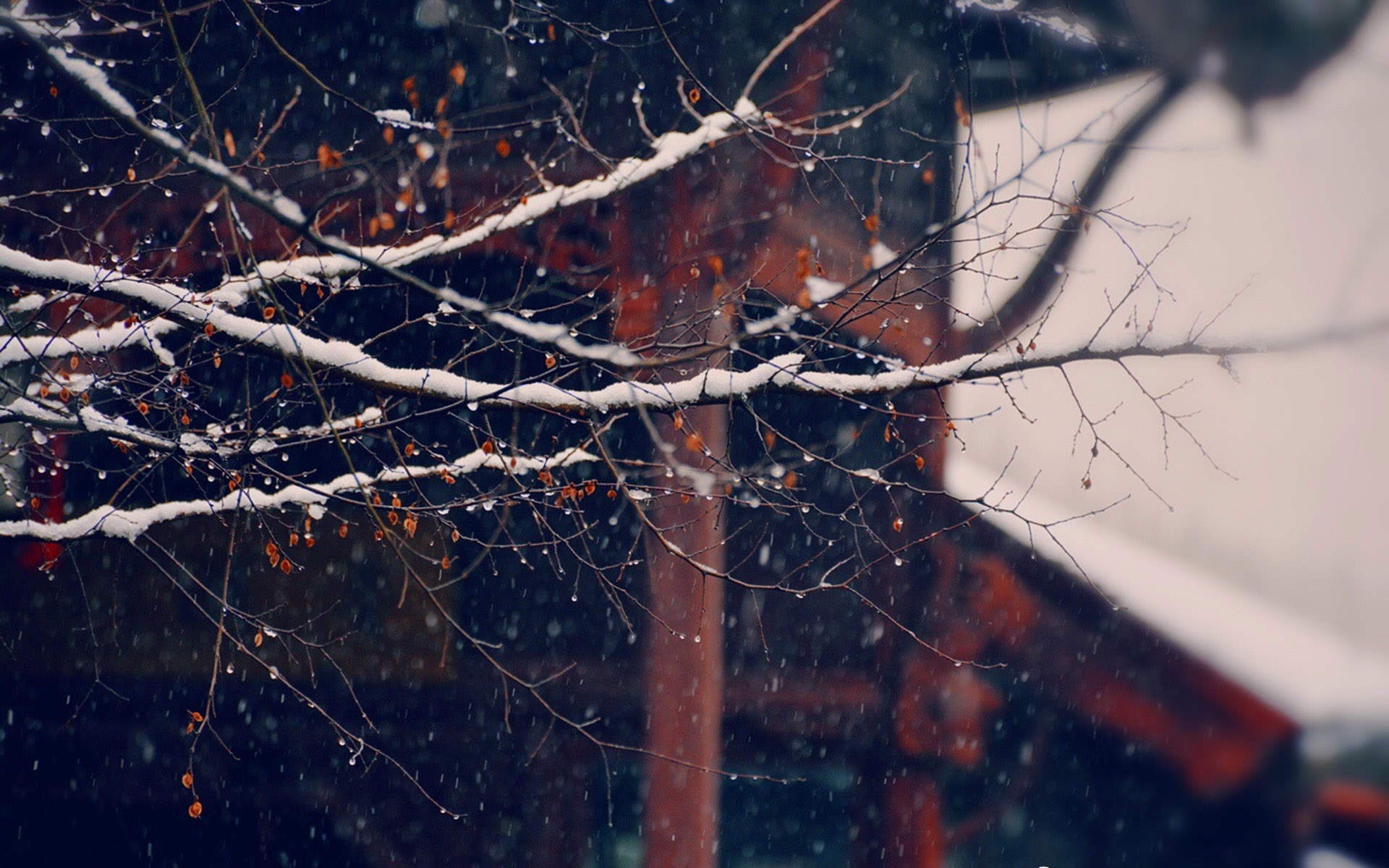 郑秀妍日本函馆冬日雪景唯美写真图片图片