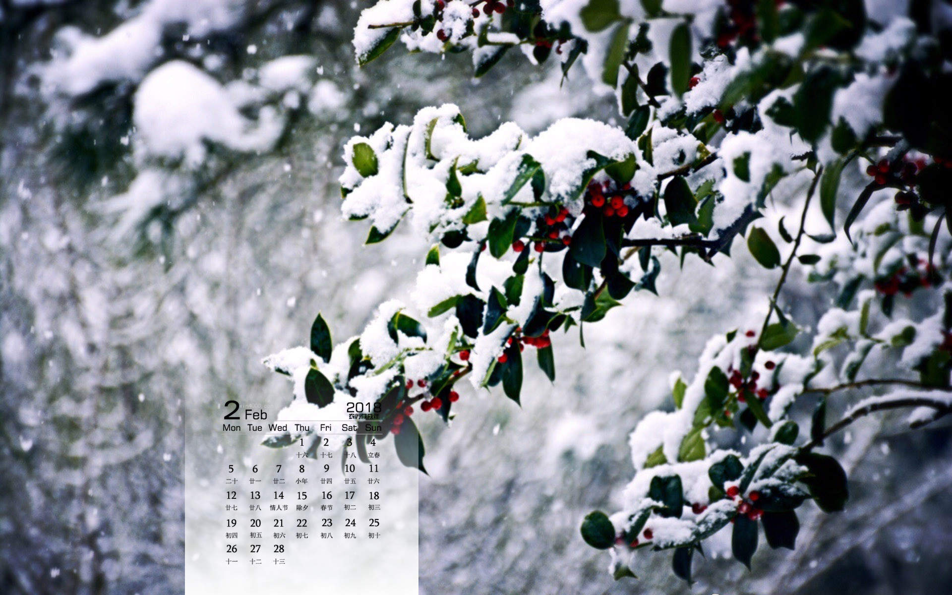 冬日雪景图片