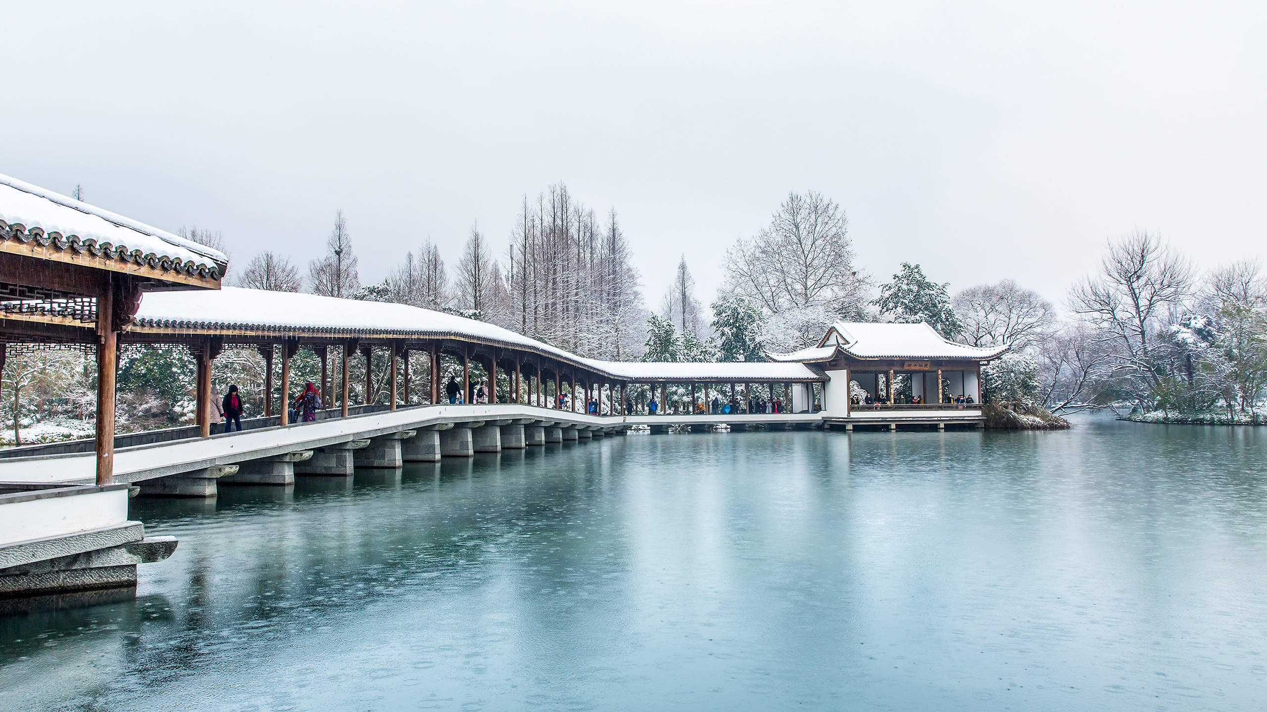 冬天雪景唯美手机壁纸图片图片