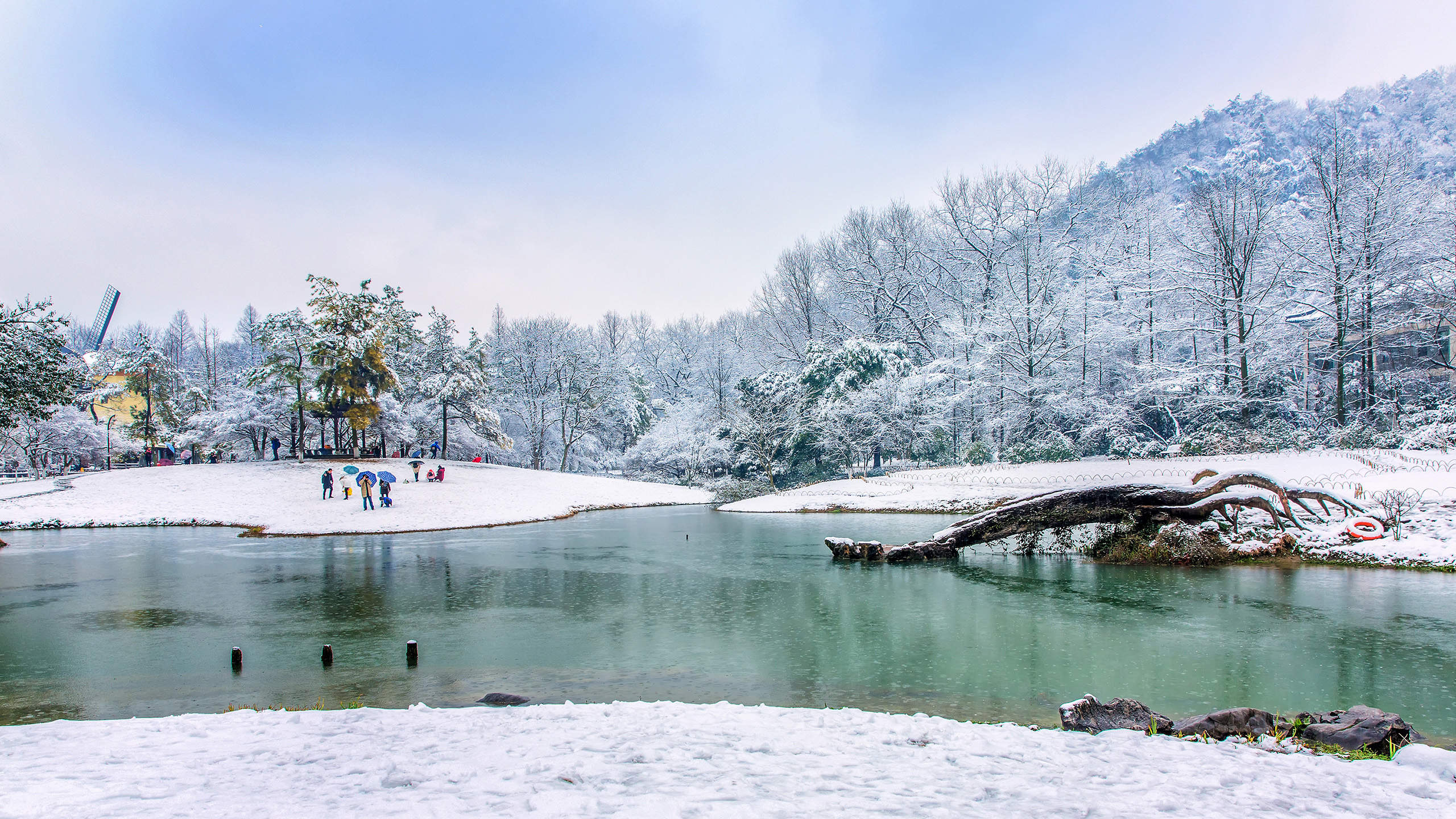 冬天雪景唯美手机壁纸图片图片