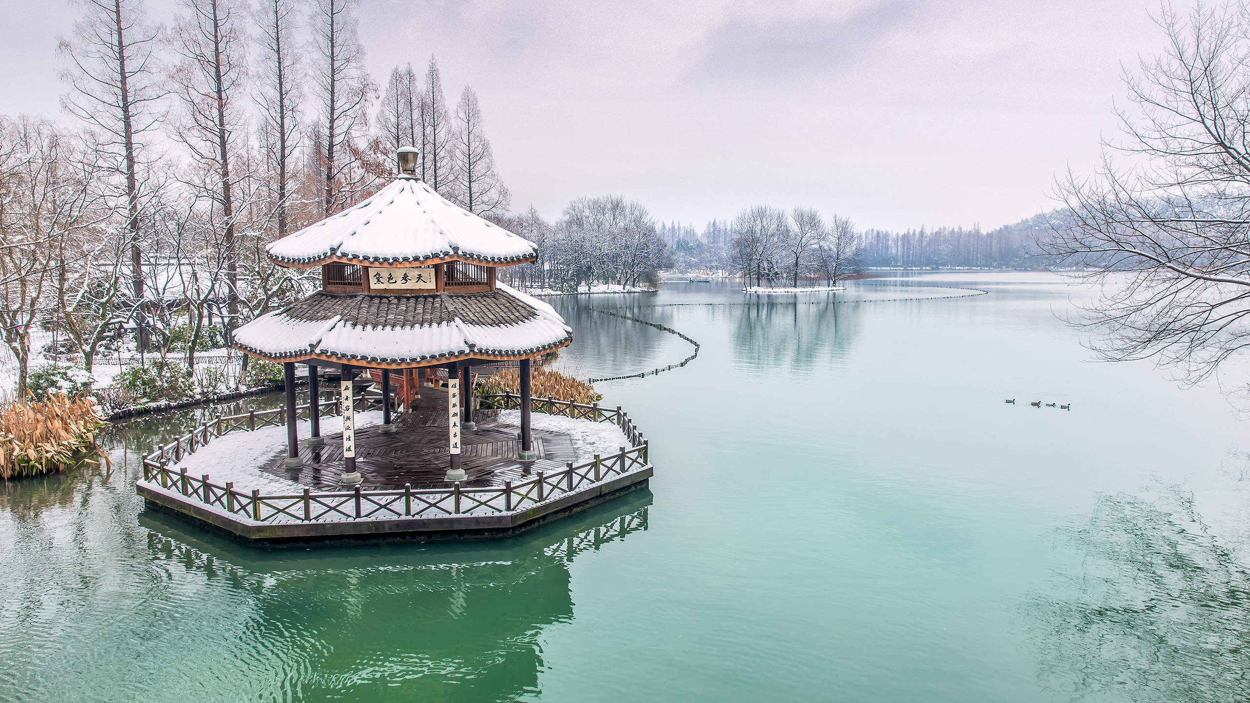 冬天雪景唯美手机壁纸图片图片