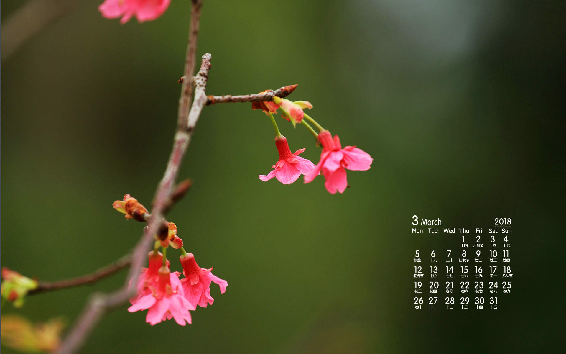 2018年4月唯美粉色樱花高清桌面日历壁纸图片