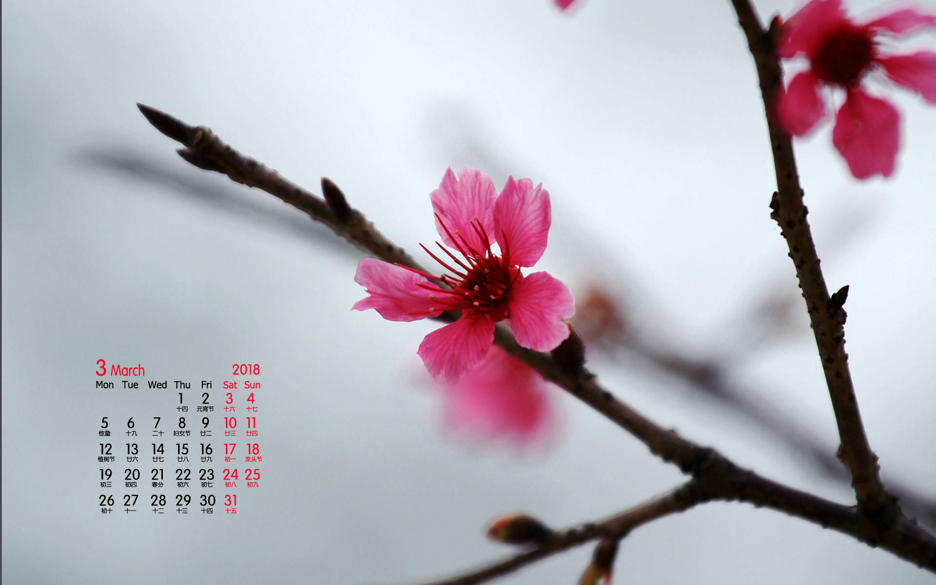 2018年3月樱花唯美日历图片桌面壁纸图片
